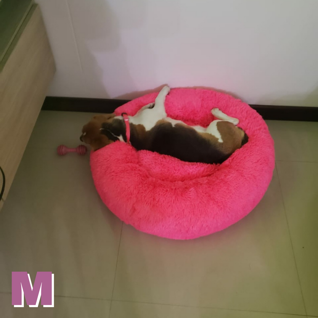 Cama Mascota (Perro/Gato)