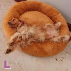 Cama Mascota (Perro/Gato)