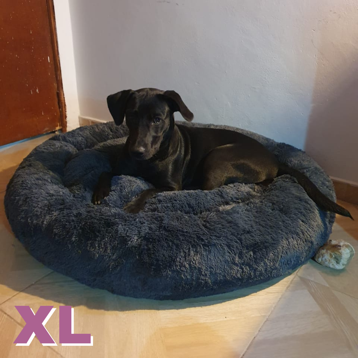 Cama Mascota (Perro/Gato)